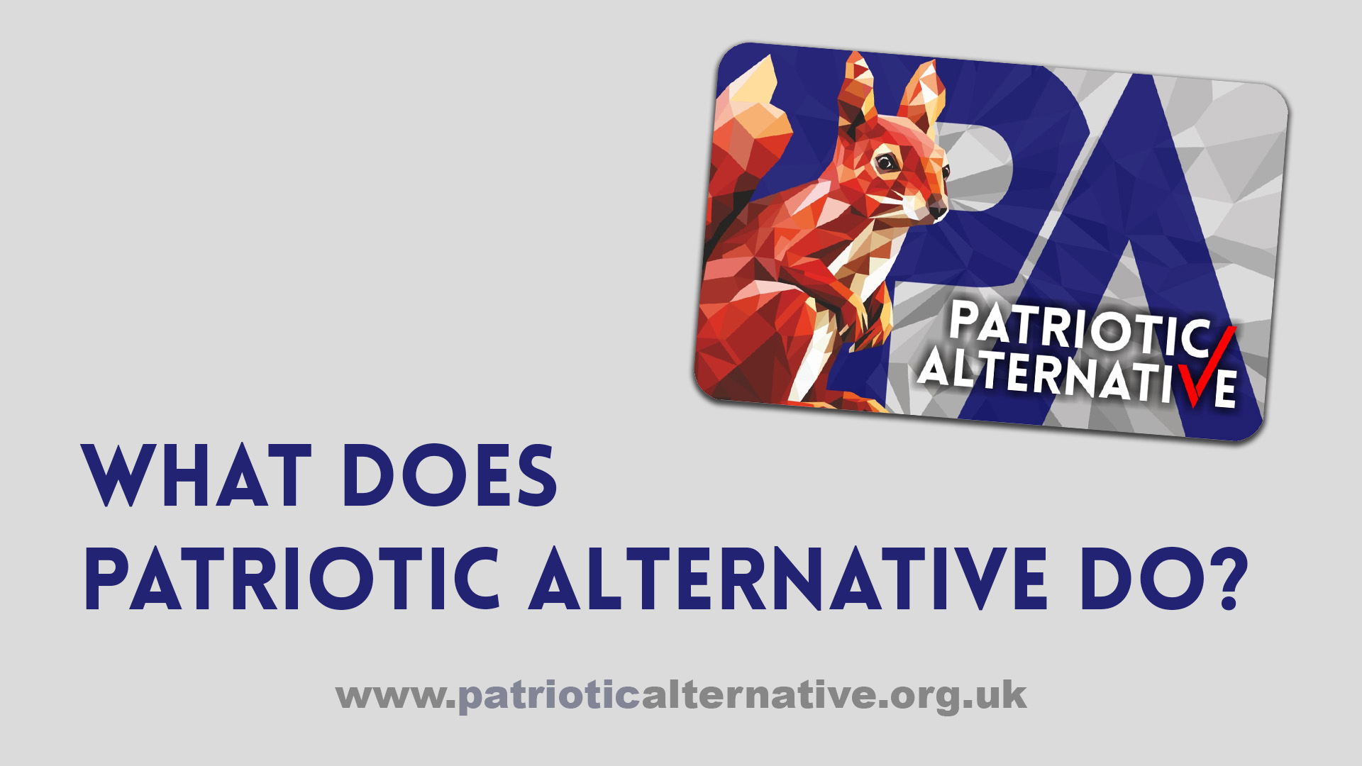 What Does Patriotic Alternative Do?